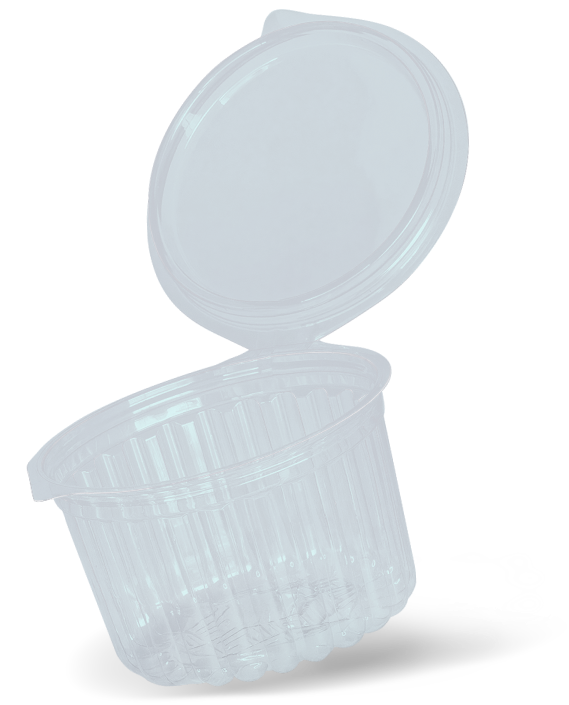 Quem Somos 1 Sem Titulo 1 3 2